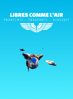 https://matteobruccoleri.com/projets/libre-comme-lair